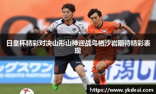 球王会体育